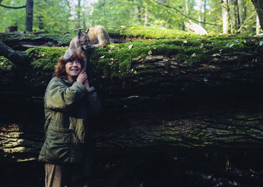 Simona Kossak avec Agata, un lynx présenté dans le film 'Saga Prastarej Puszczy' (La saga de l'ancienne forêt) de Bożena et Jan Walencik.  Photo : Lech Wilczek