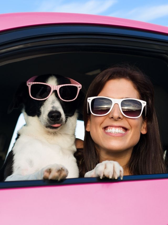 une femme et son chien dans la fenêtre de la voiture rose