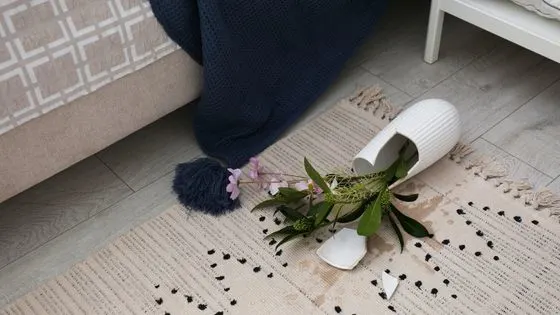 Image of a broken vase as a accident in the home